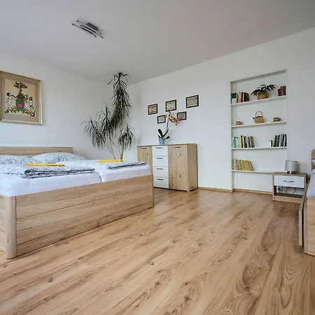Formanka By Interhome Lejlighed Liberec