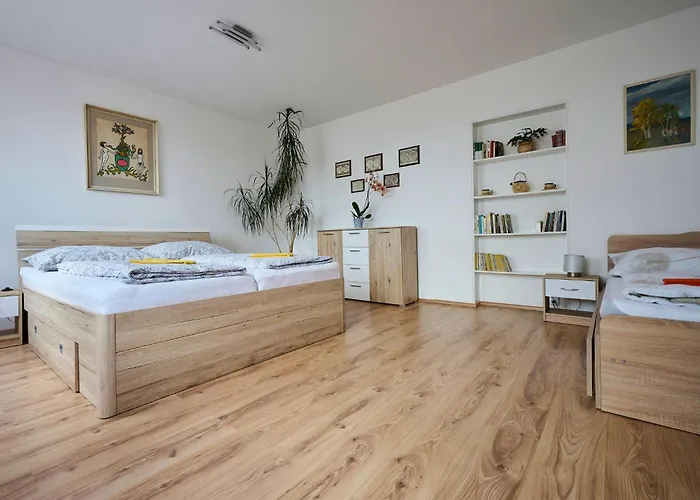 Formanka By Interhome Daire Liberec